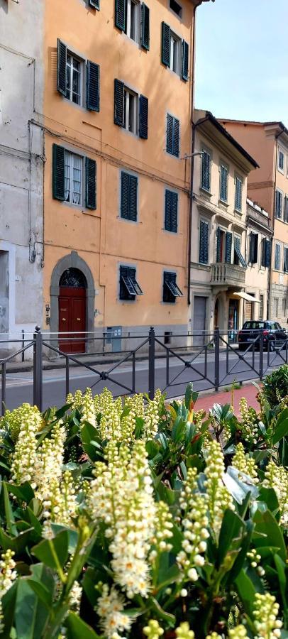 Claudia'S Home Pescia Luaran gambar